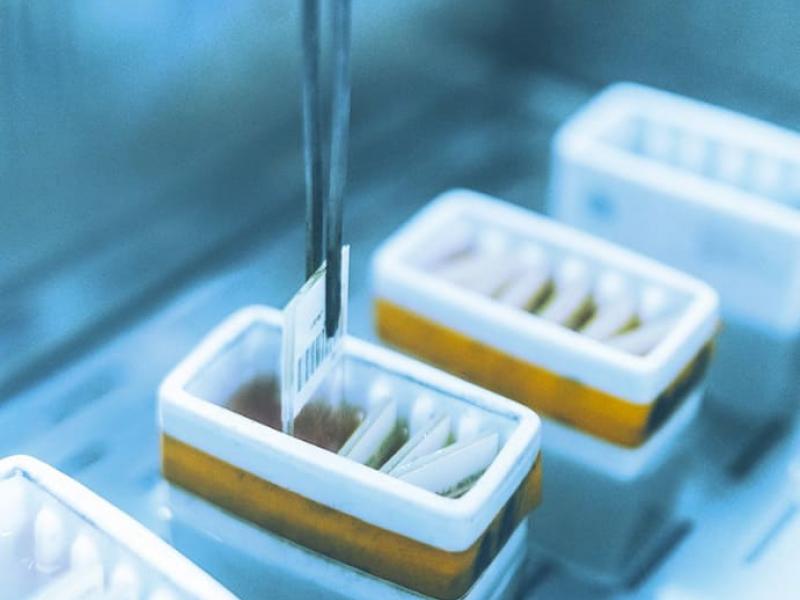 analyse-cytogenique-labo
